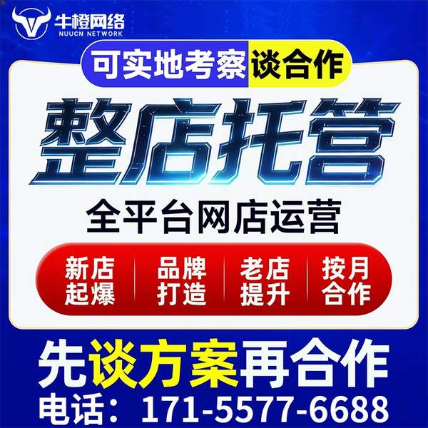 库尔勒电商代运营